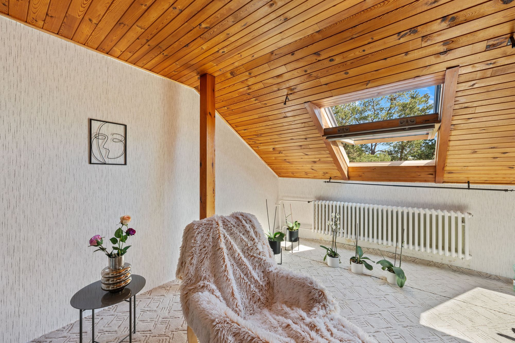 Restaurace s bydlením · Moravská Nová Ves — fotografie 18